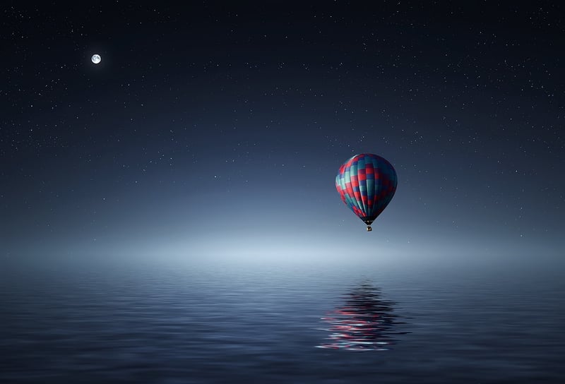 Moonlit Meadow