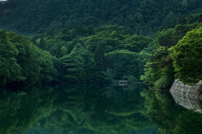 Hidden Waterfall